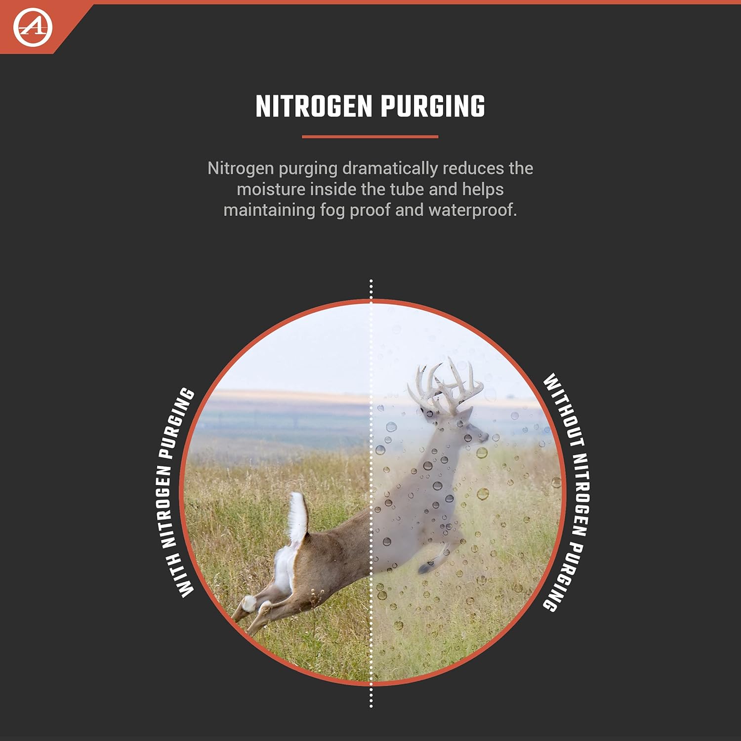 Athlon Talos 4-16x40 SFP BDC 600 IR – Precisão, Versatilidade e Iluminação para Caça e Tiro de Média Distância